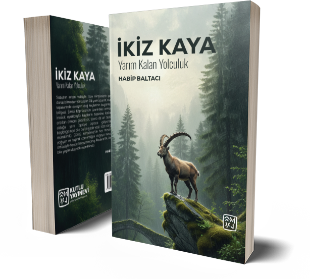 İkiz Kaya - Yarım Kalan Yolculuk - Habip Baltacı