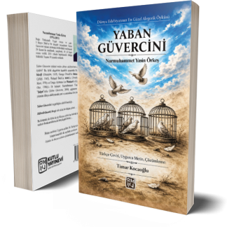 Yaban Güvercini - Timur Kocaoğlu